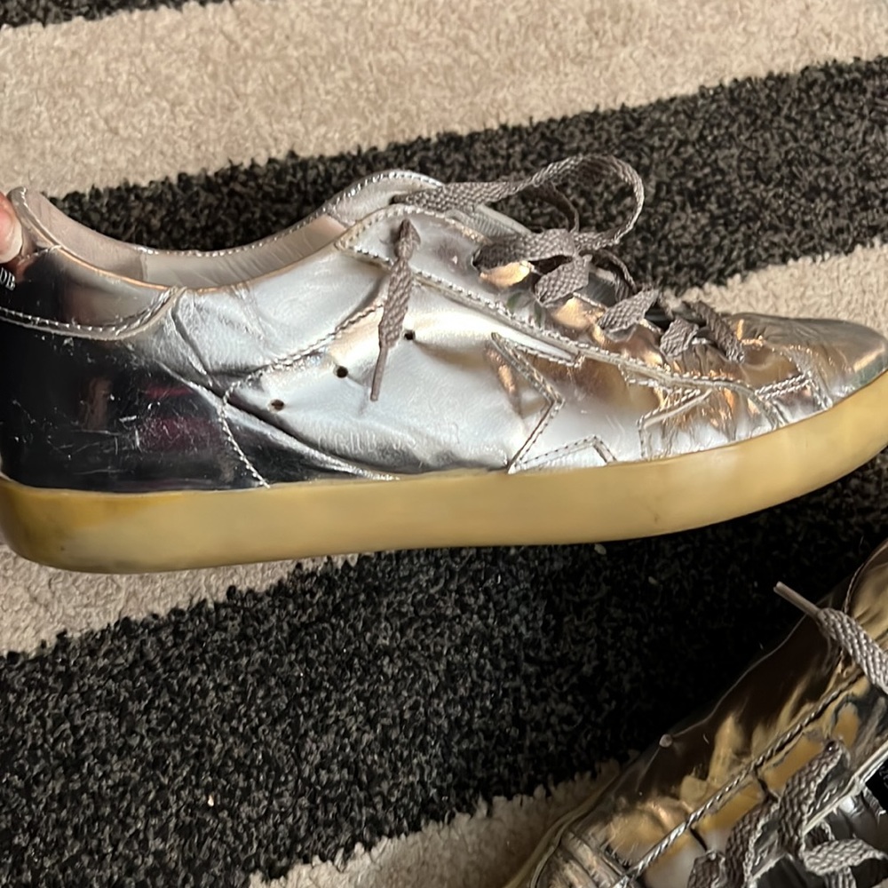 Metallic silver golden goose